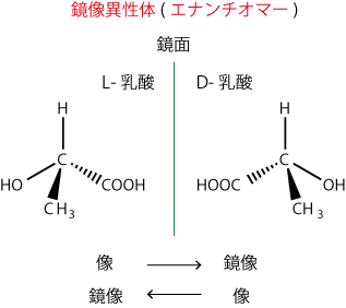 乳酸(鏡像異性体)